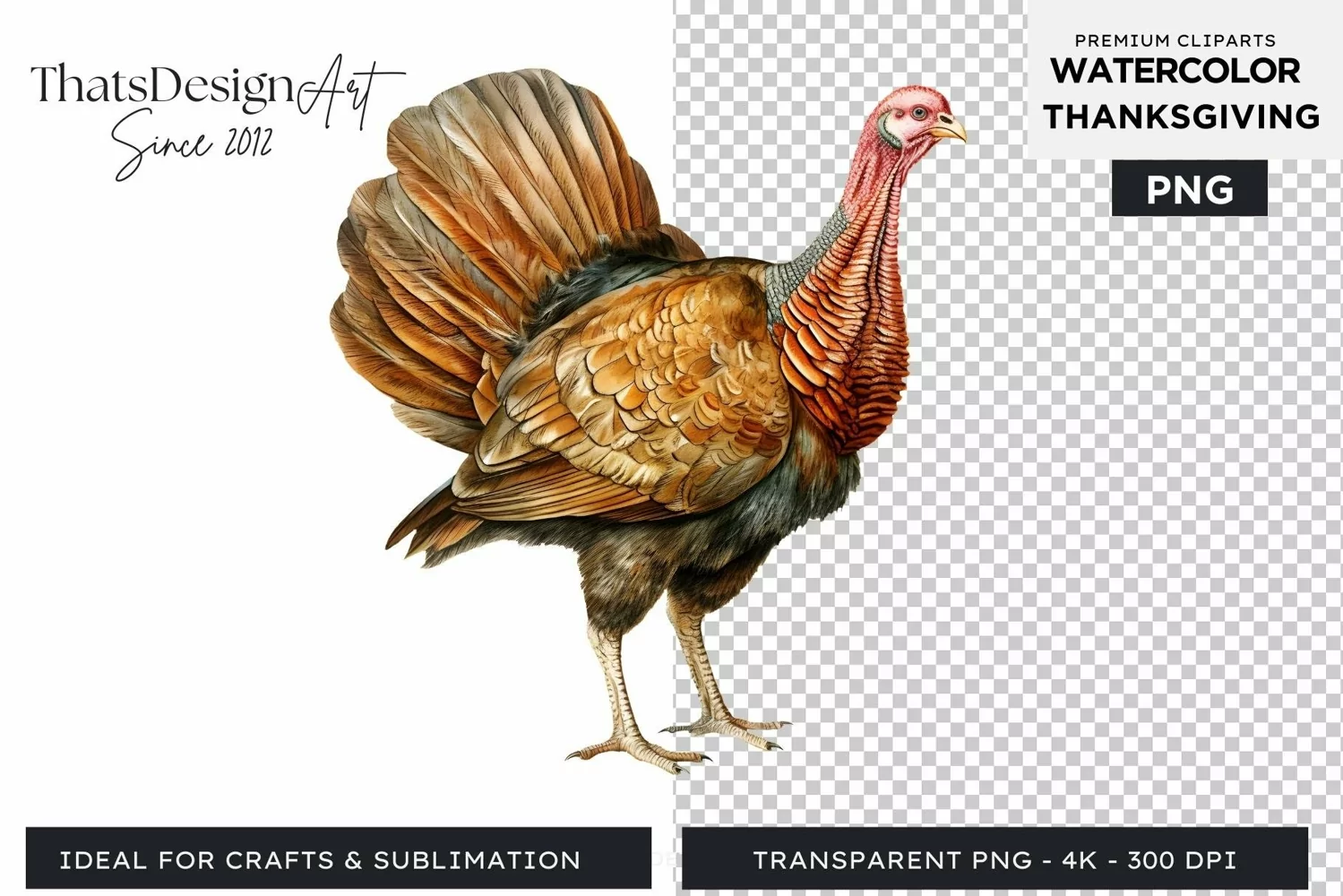 Traditional Thanksgiving Turkey Watercolor Clipart product image 1