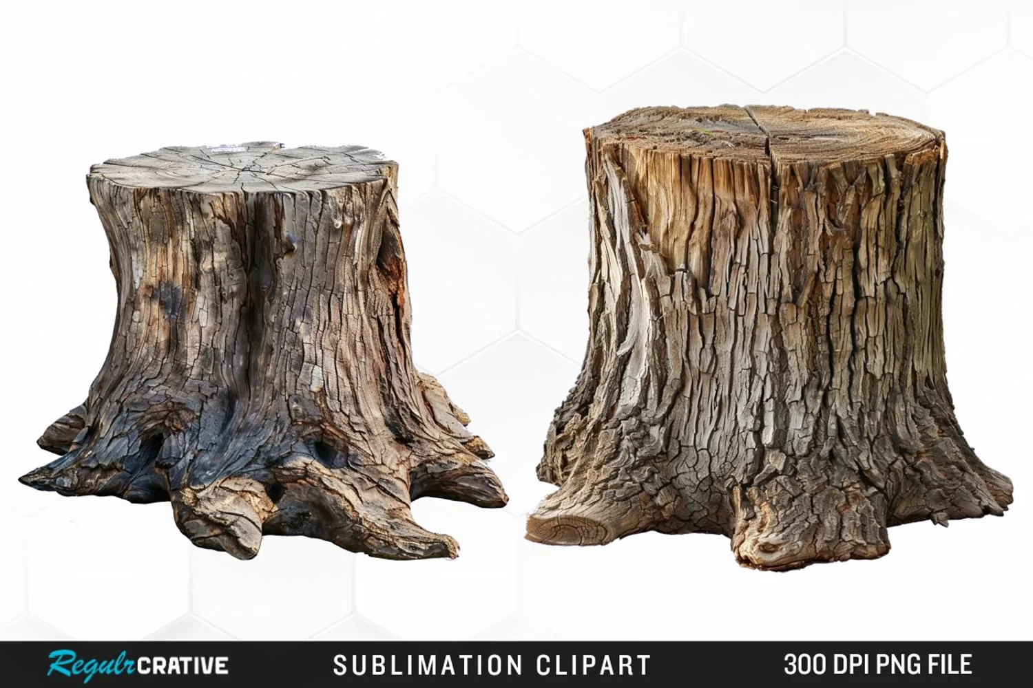 Watercolor Tree Stump Graphics Clipart product image 1