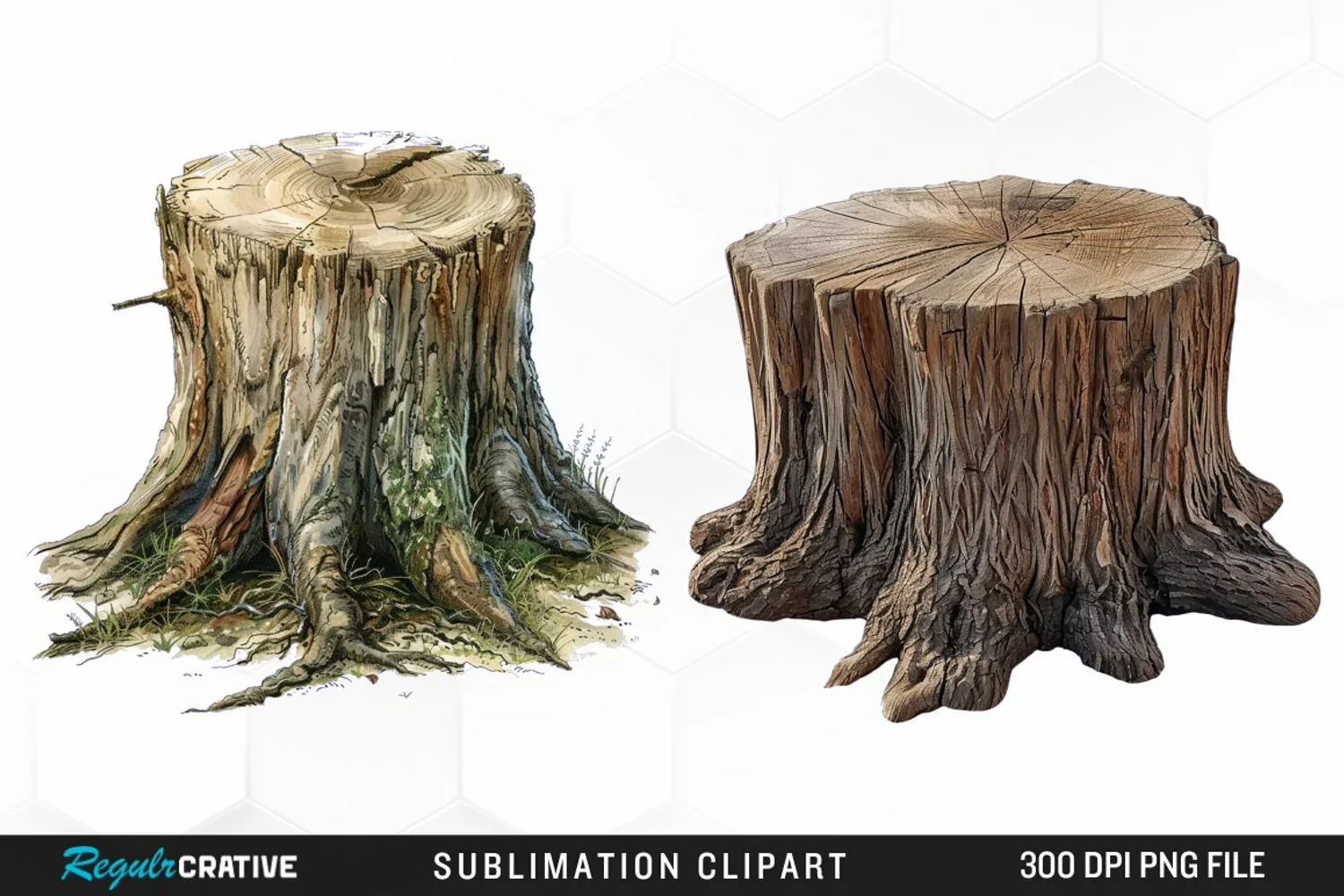 Watercolor Tree Stump Image Clipart product image 1