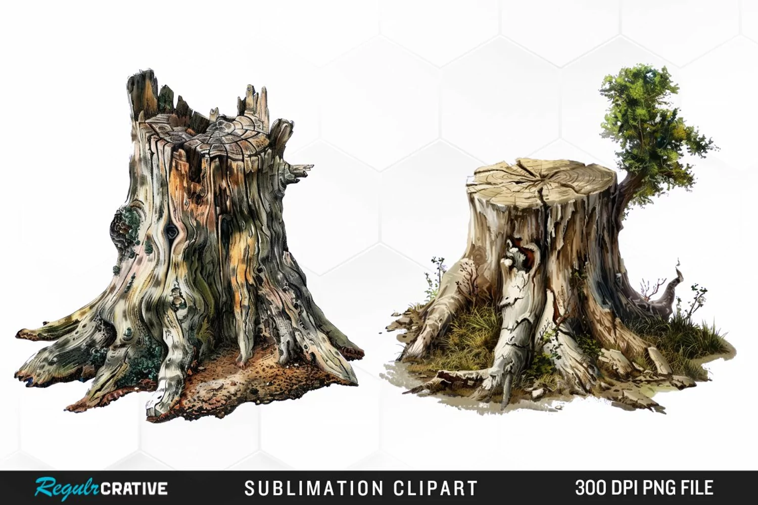 Watercolor Tree Stump Image Clipart product image 1