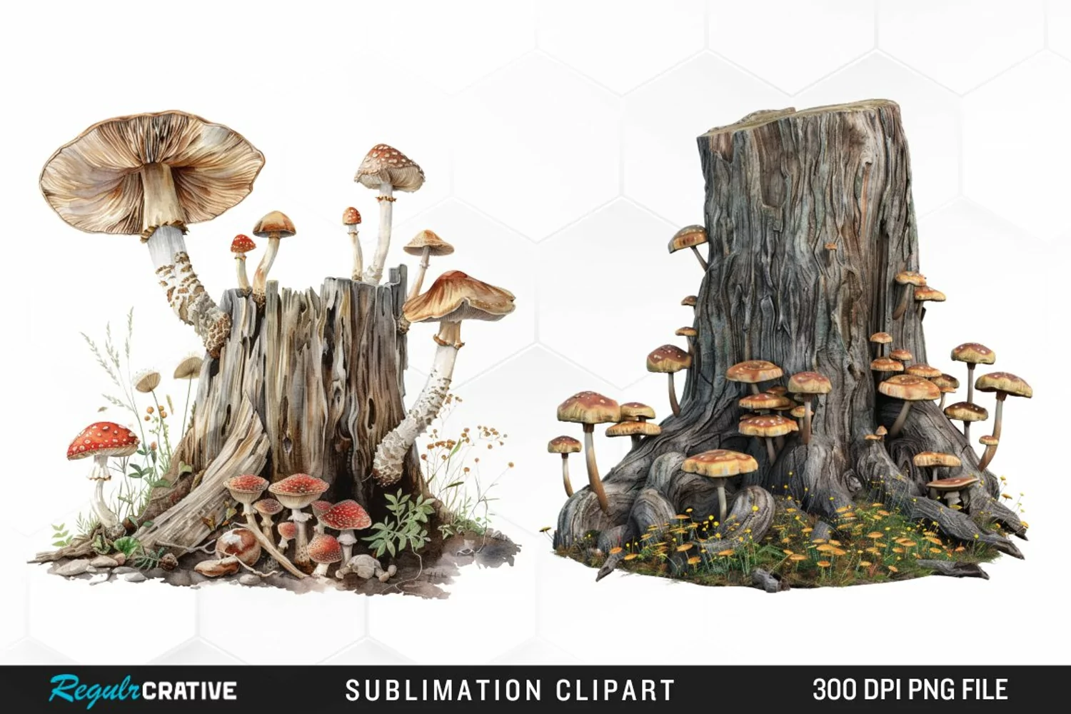 Watercolor Tree Stump With Mushrooms Exquisite Clipart product image 1