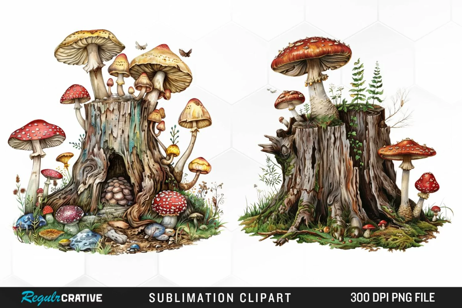 Watercolor Tree Stump With Mushrooms Exquisite Clipart product image 1