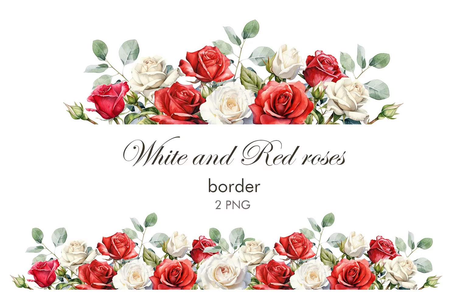 Watercolor white and red roses border