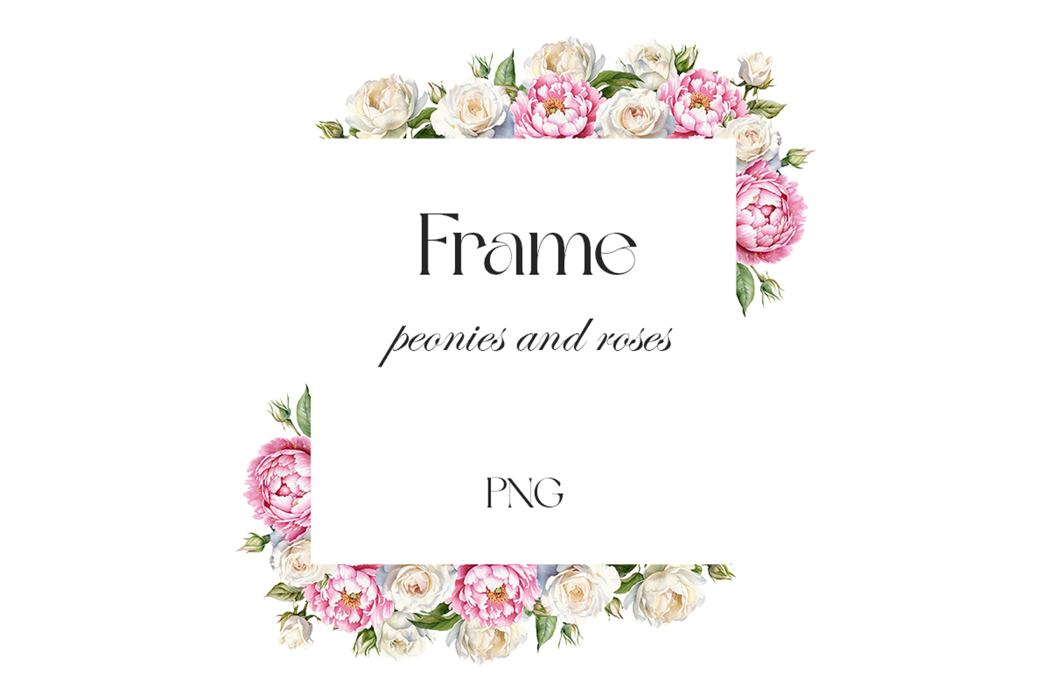 Watercolor white roses and peonies frame