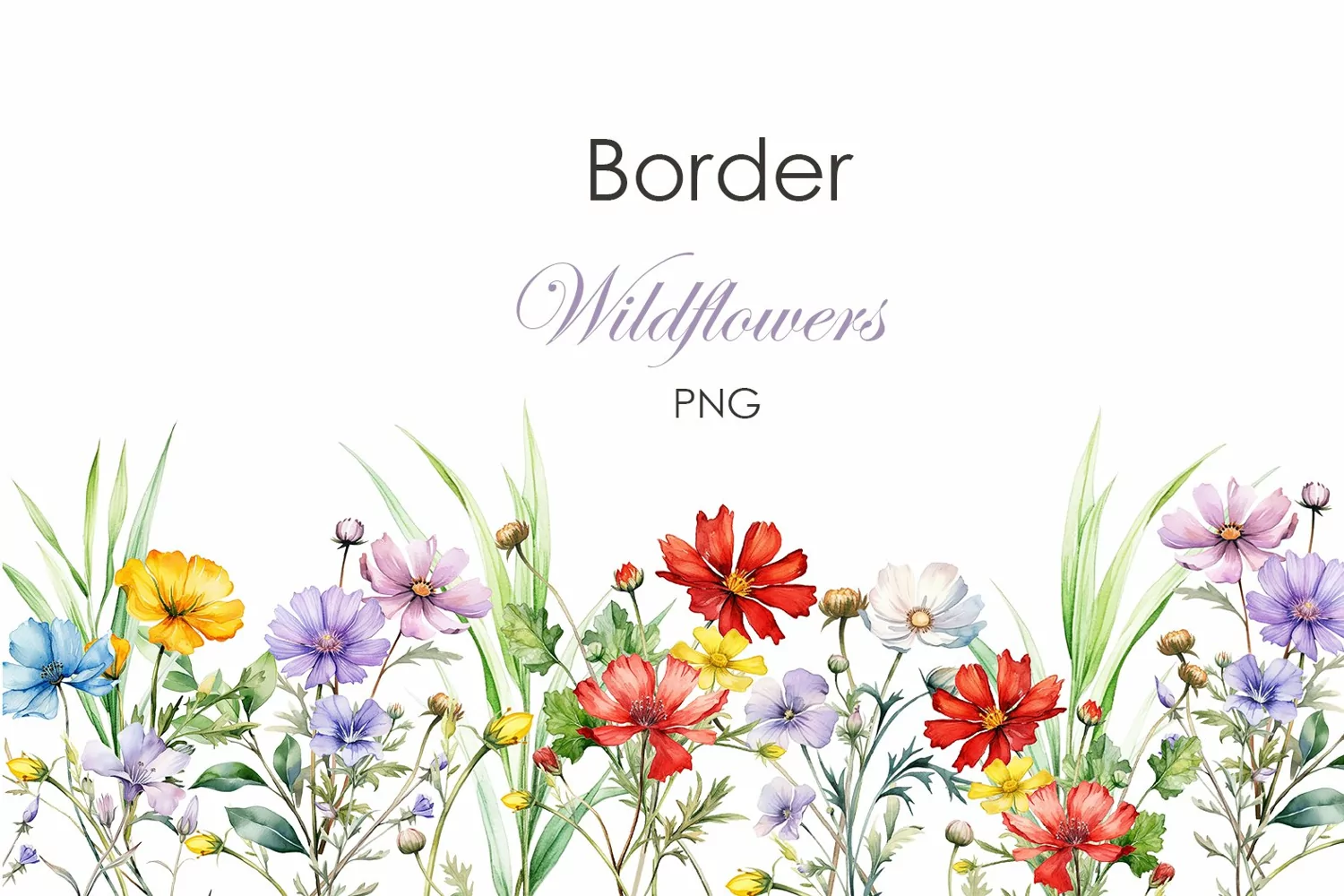 Watercolor wildflowers borders 