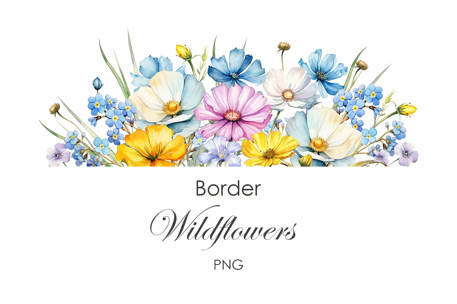 Watercolor wildflowers borders PNG