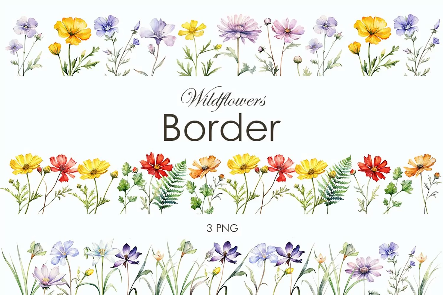 Watercolor wildflowers borders PNG