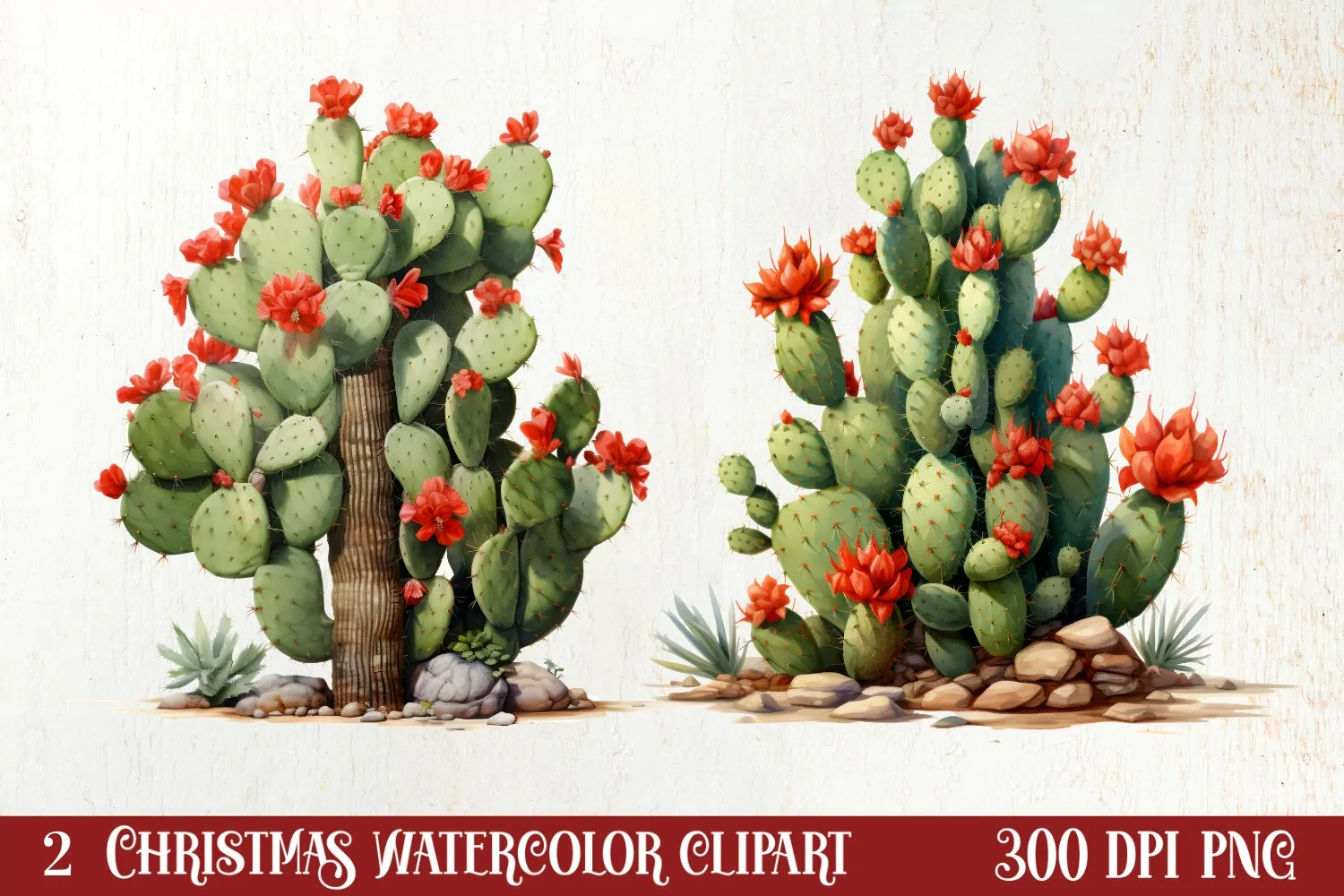 Western Christmas Watercolor Clipart product image 1