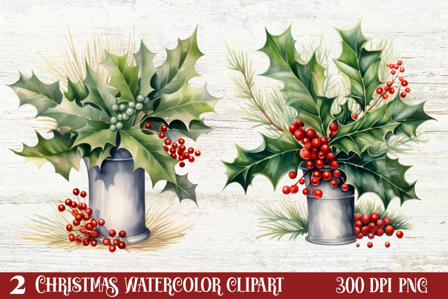 Winter Christmas Greenery Clipart, Christmas Greenery Clipar product image 1