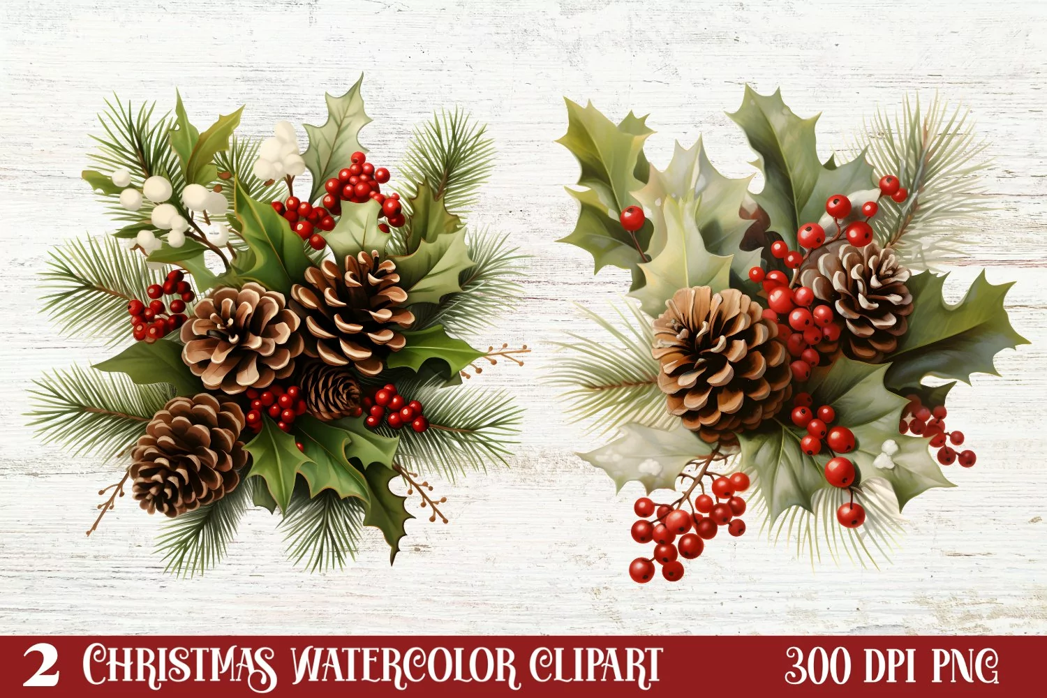 Winter Christmas Greenery Clipart, Christmas Greenery Clipar product image 1