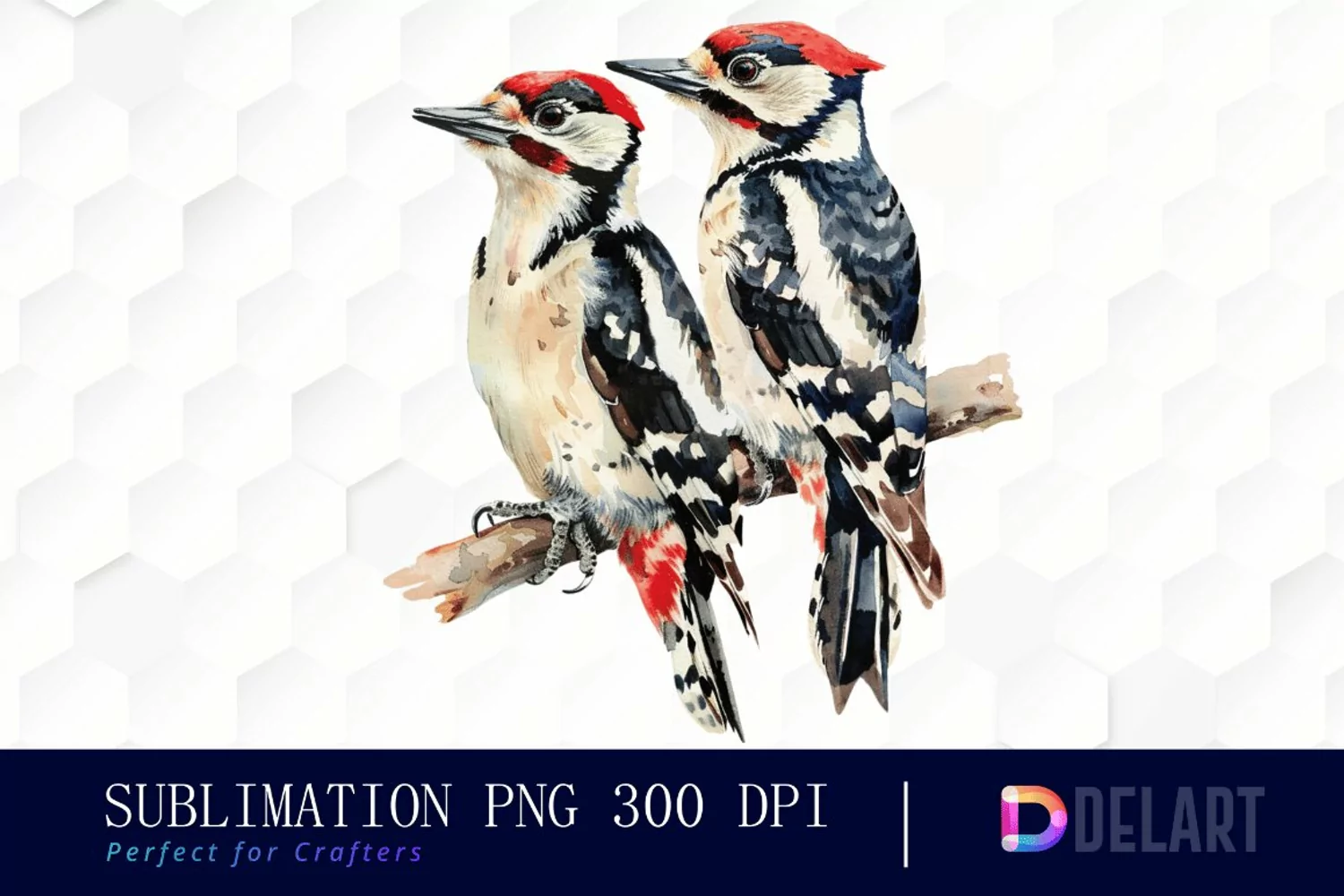 Woodpeckers Illustration Clipart product image 1