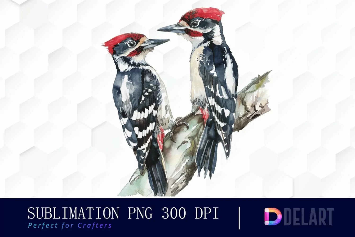 Woodpeckers Watercolor Clipart product image 1