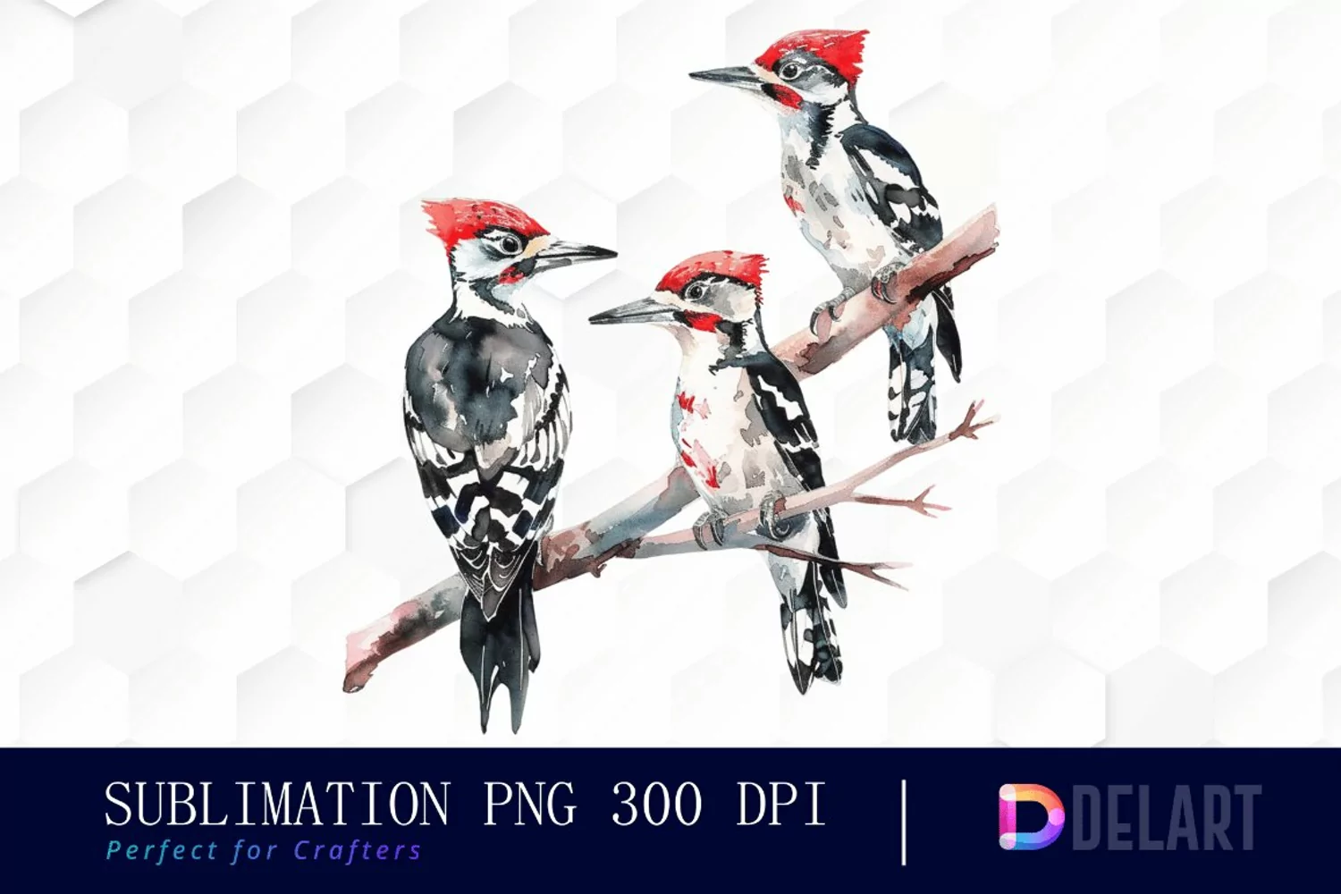Woodpeckers PNG Clipart product image 1