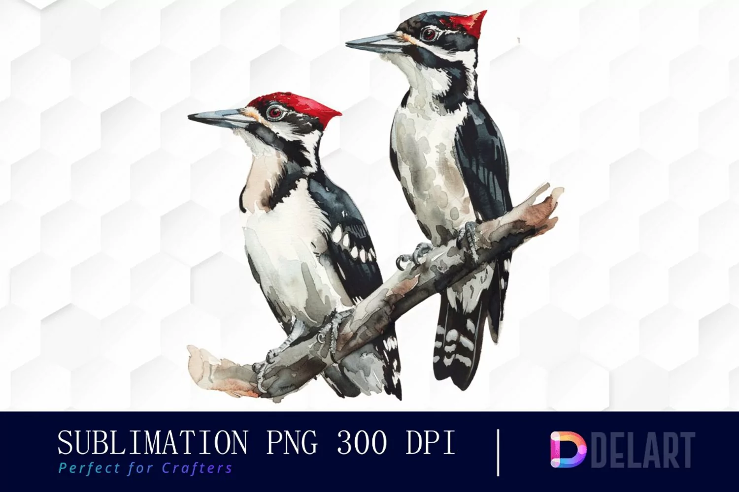 Woodpeckers Graphics Clipart product image 1