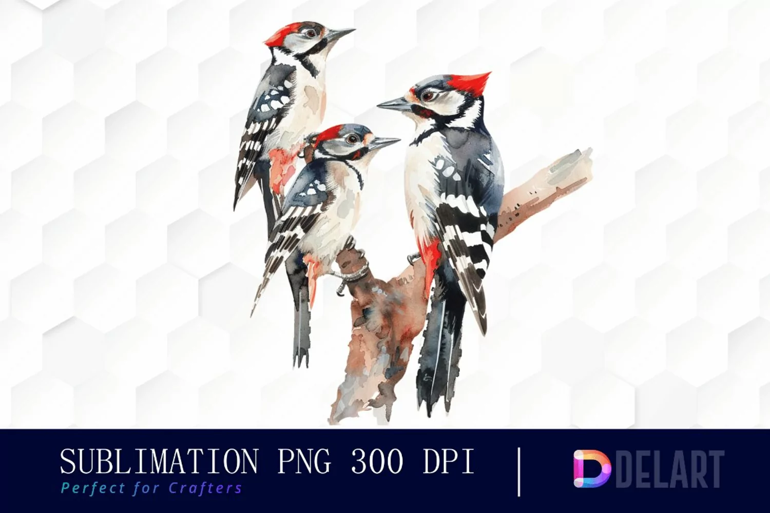 Woodpeckers Watercolor Clipart product image 1