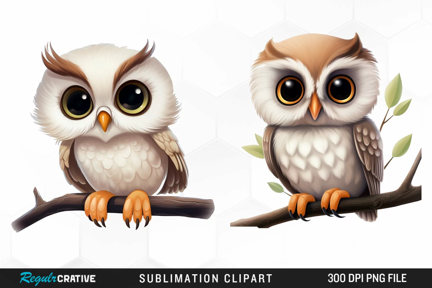 Watercolor cartoon owl Exquisite Clipart product image 1
