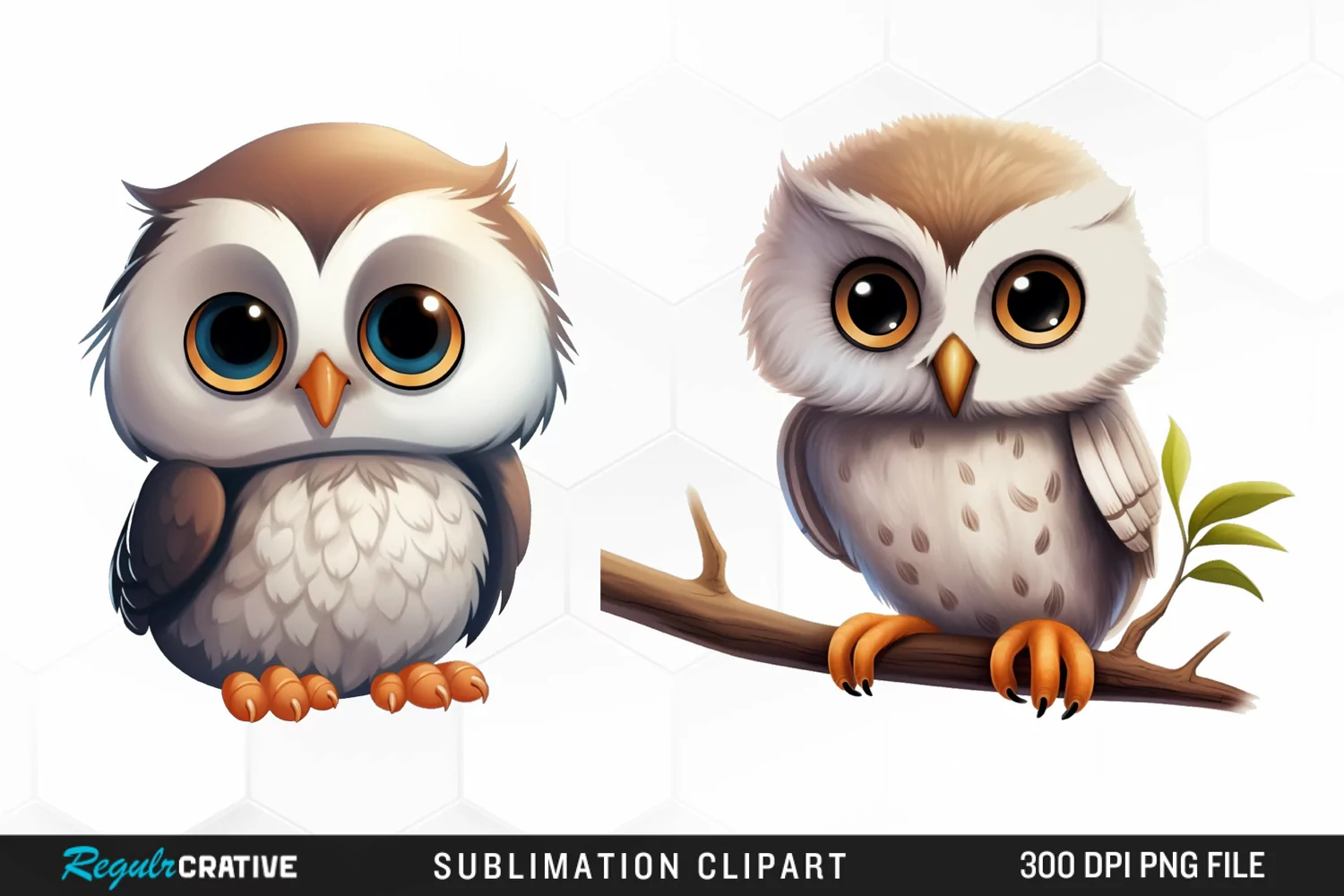 Watercolor cartoon owl Clipart Fun product image 1
