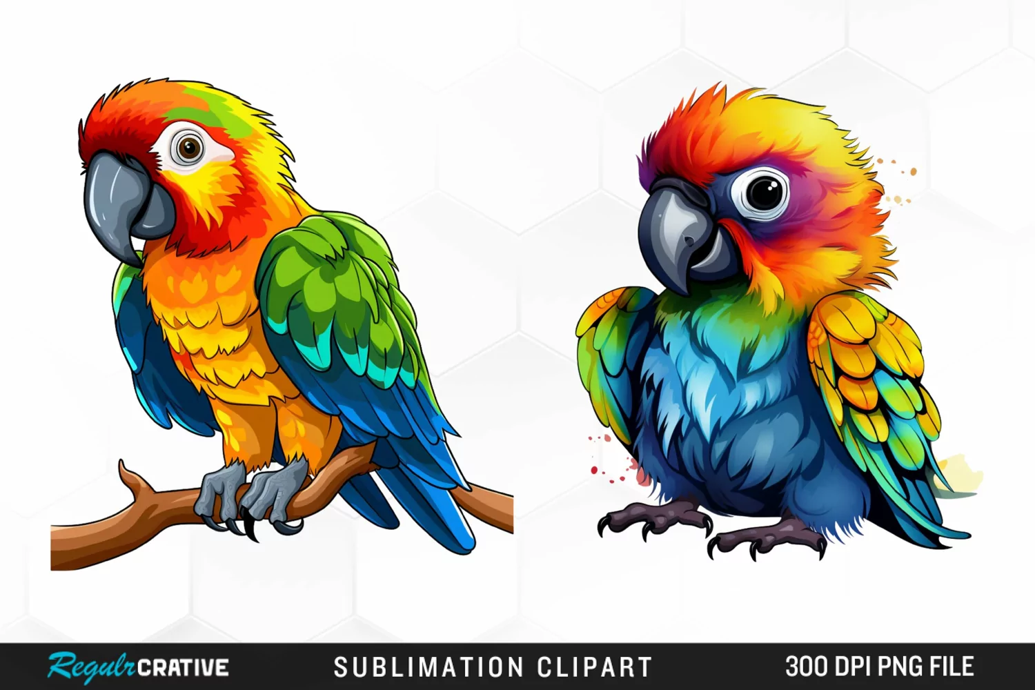 Watercolor Baby Parrot Watercolor Image Clipart product image 1