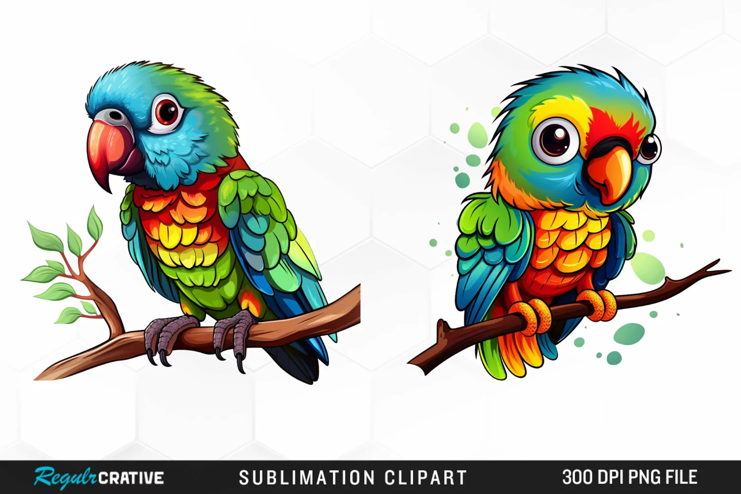 Watercolor Baby Parrot Artwork Clipart product image 1