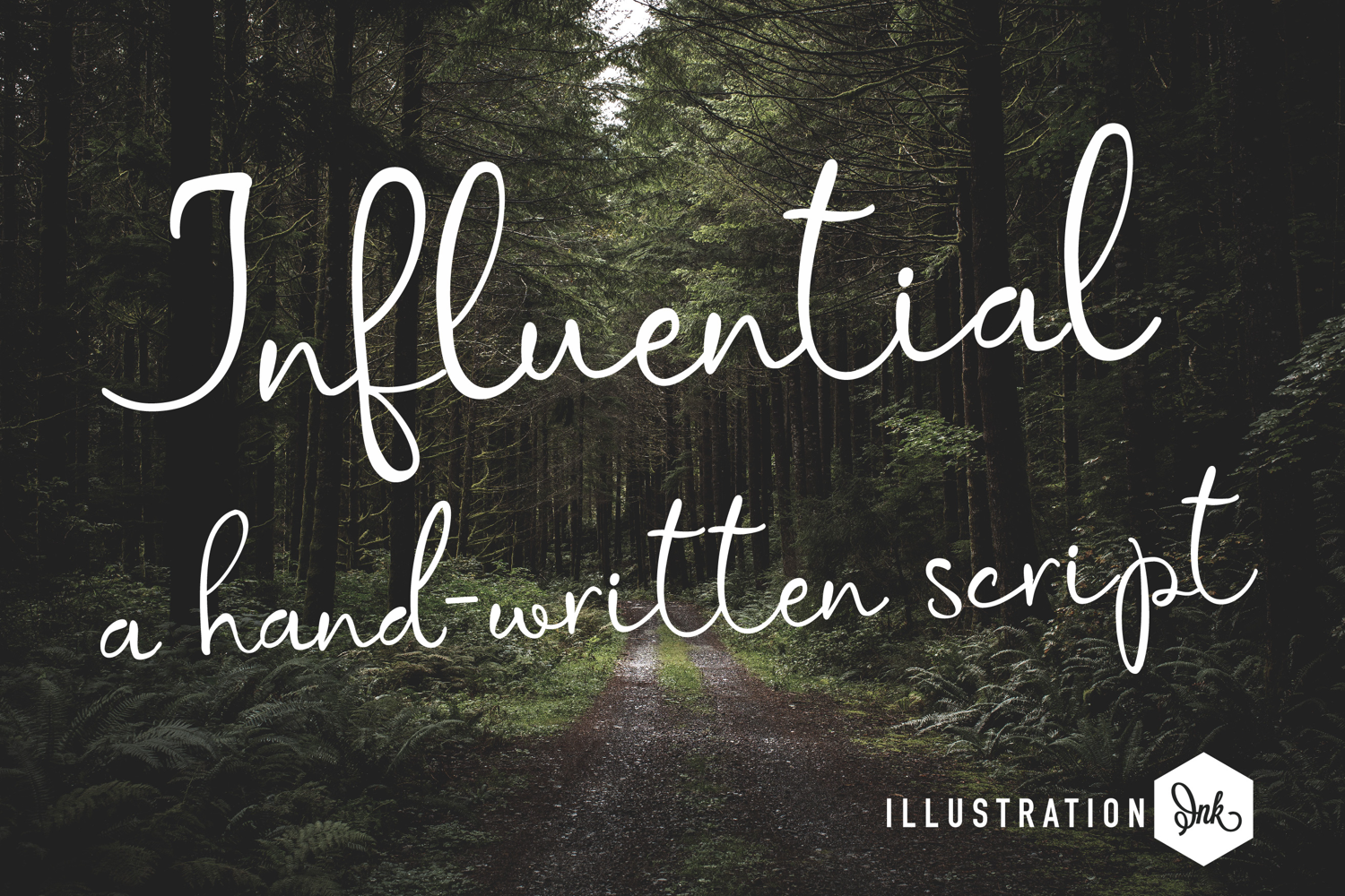 Influential Font Family product image 1