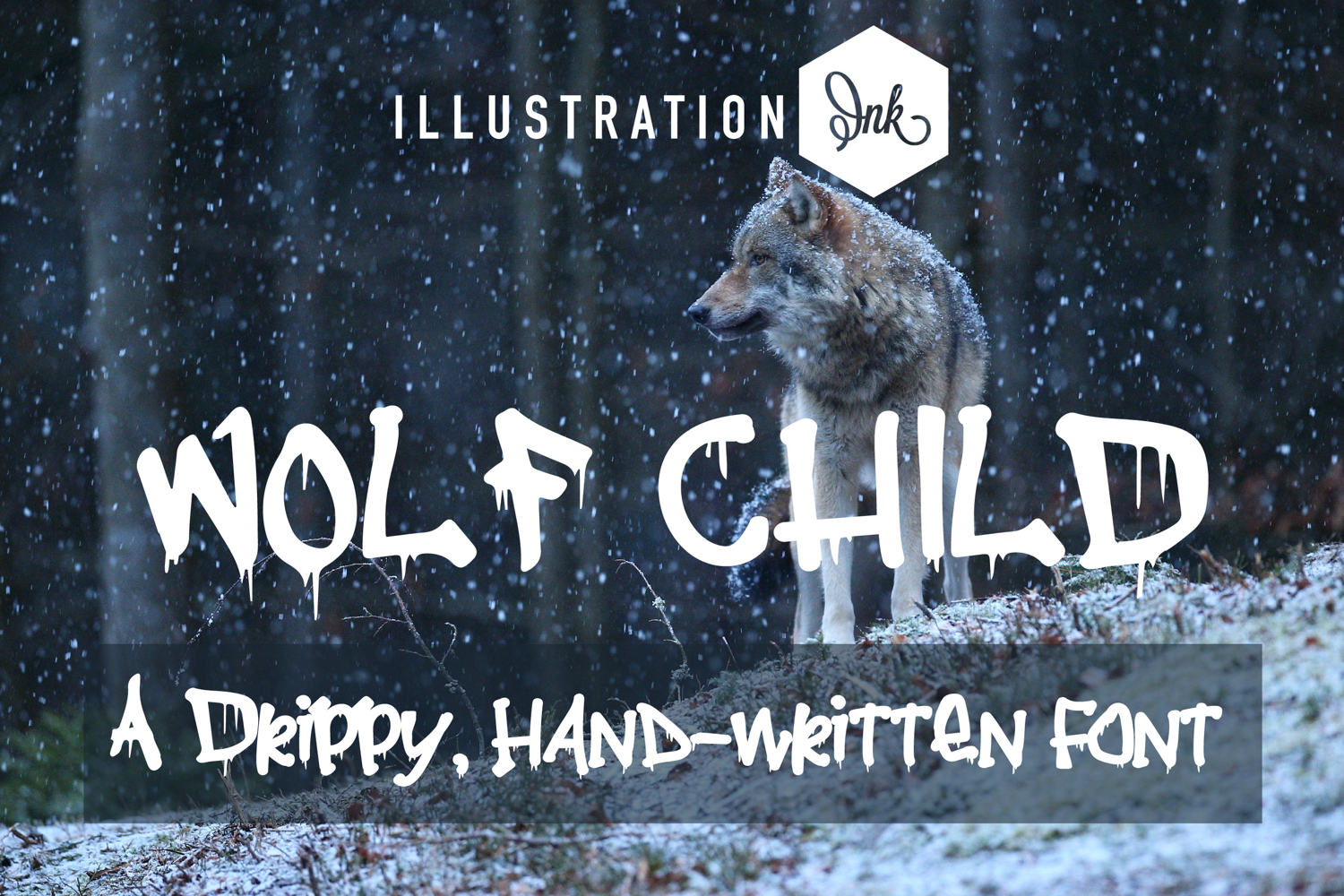 Wolf Child Font Family product image 1
