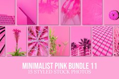 MINIMALIST PINK BUNDLE 11 Product Image 1