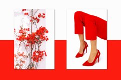 Minimalist red&amp;white bundle 58 Product Image 3