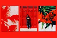 Minimalist red bundle 52 Product Image 3