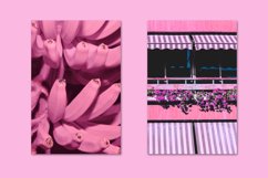 MINIMALIST PINK BUNDLE 14 Product Image 4