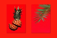 Minimalist red bundle 54 Product Image 3