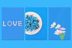 MINIMALIST BLUE BUNDLE 32 Product Image 2
