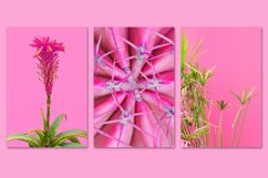 MINIMALIST PINK BUNDLE 11 Product Image 5