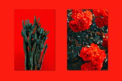 Minimalist red bundle 52 Product Image 4