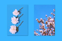 MINIMALIST BLUE BUNDLE 32 Product Image 4