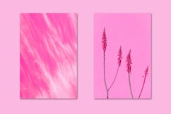 MINIMALIST PINK BUNDLE 14 Product Image 3