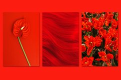 Minimalist red bundle 54 Product Image 7