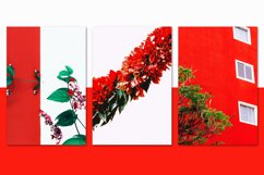 Minimalist red&amp;white bundle 58 Product Image 7