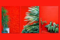 Minimalist red bundle 52 Product Image 5