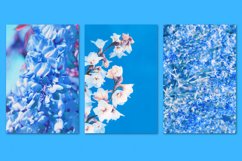 MINIMALIST BLUE BUNDLE 32 Product Image 7