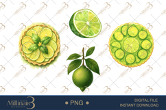 Key Lime Watercolor Clipart Product Image 1