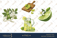 Lime Watercolor Clipart PNG Product Image 1
