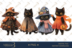 Black Cat in Witch Cloak Clipart Mystical Halloween Cat Grap Product Image 1