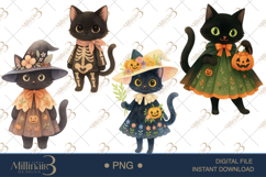 Black Cat in Witch Cloak Clipart Mystical Halloween Cat Grap Product Image 1