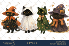 Black Cat in Witch Cloak Clipart Mystical Halloween Cat Grap Product Image 1