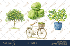 Lime Watercolor Clipart PNG Product Image 1