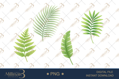 Cute Dinosaurs Watercolor Clipart Product Image 1