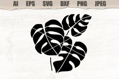 Stencil Mostera SVG Product Image 1