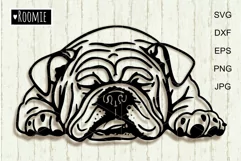Sleeping bulldog svg for Cricut, American bulldog, Shirt mug Product Image 1
