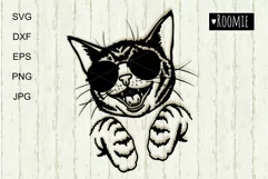 Cool Cat in sunglasses SVG for Cricut, Cat mom shirt design Product Image 2