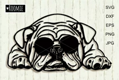 Cool American bulldog svg for Cricut, English bulldog design Product Image 1